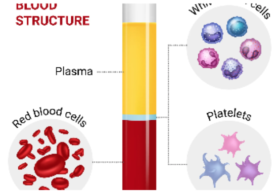 Ensuring Access To Plasma Derived Medicines For Immunodeficiency