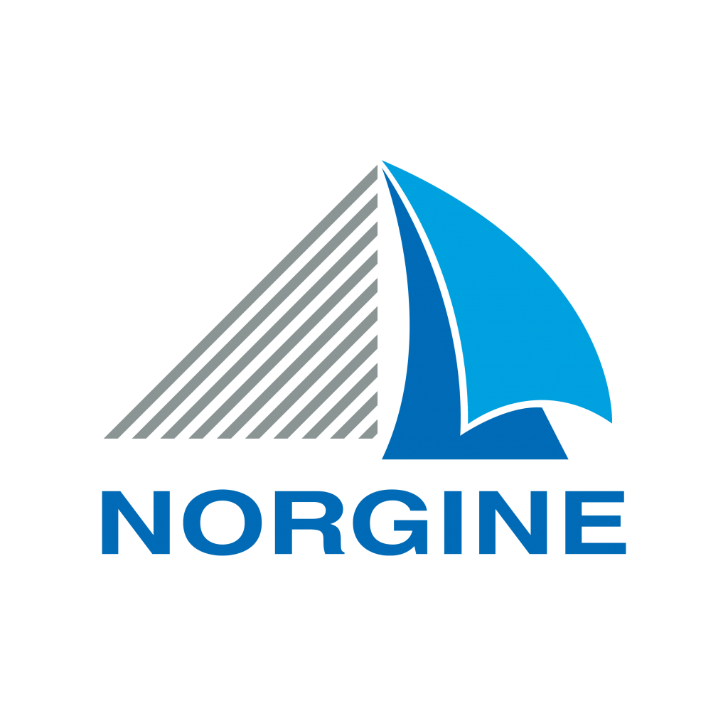 Norgine logo